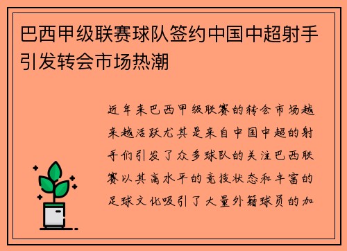 巴西甲级联赛球队签约中国中超射手引发转会市场热潮