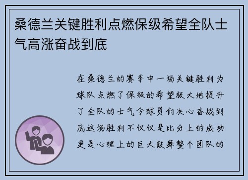 桑德兰关键胜利点燃保级希望全队士气高涨奋战到底