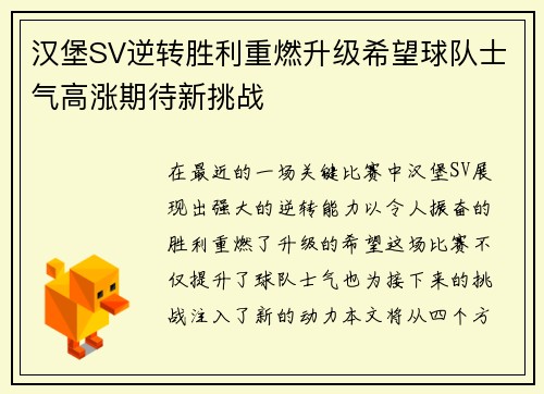 汉堡SV逆转胜利重燃升级希望球队士气高涨期待新挑战