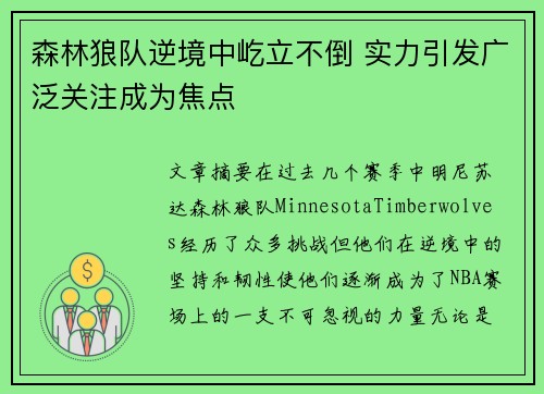 森林狼队逆境中屹立不倒 实力引发广泛关注成为焦点