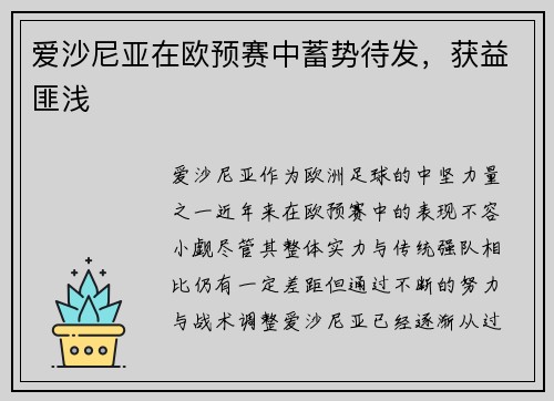 爱沙尼亚在欧预赛中蓄势待发，获益匪浅