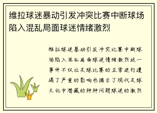 维拉球迷暴动引发冲突比赛中断球场陷入混乱局面球迷情绪激烈