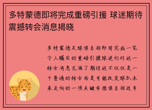 多特蒙德即将完成重磅引援 球迷期待震撼转会消息揭晓