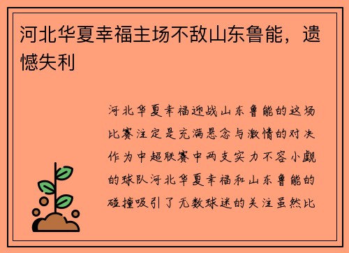 河北华夏幸福主场不敌山东鲁能，遗憾失利