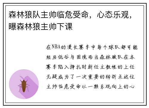 森林狼队主帅临危受命，心态乐观，曝森林狼主帅下课