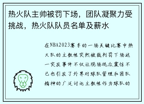 热火队主帅被罚下场，团队凝聚力受挑战，热火队队员名单及薪水