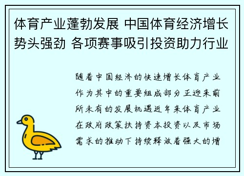 体育产业蓬勃发展 中国体育经济增长势头强劲 各项赛事吸引投资助力行业升级